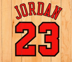 爱游戏app -科维托娃回归赛场，出色防守首场状态亮眼，G2观众沸腾！